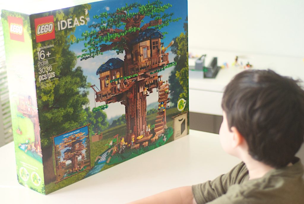 Opening the LEGO Treehouse Box