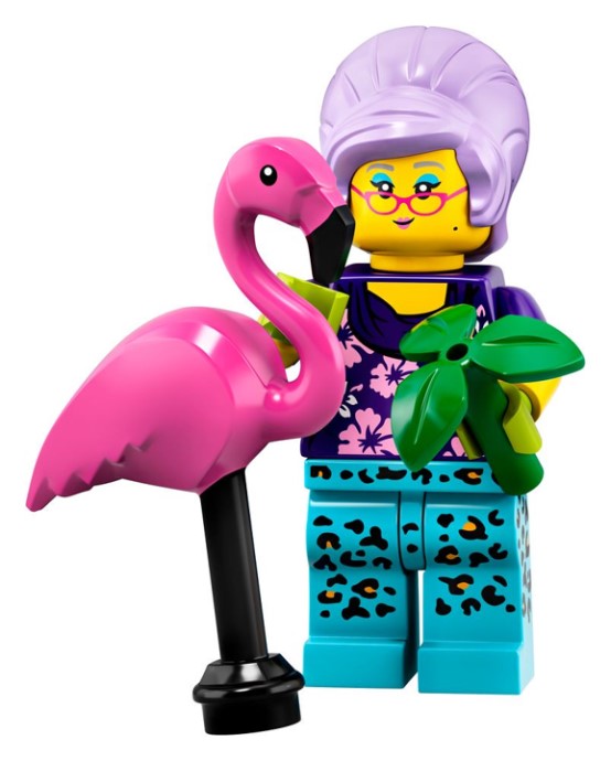 LEGO Series 19 Pet Owner Minifigure