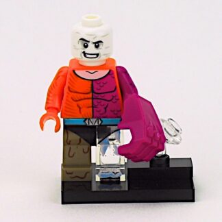 LEGO 71026 DC Custom Minifigures Metamorpho