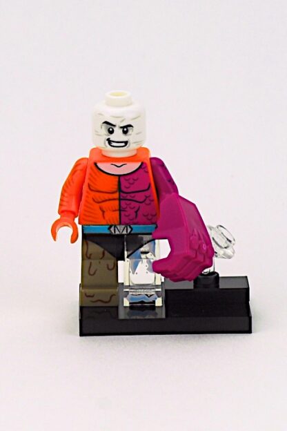 LEGO 71026 DC Custom Minifigures Metamorpho