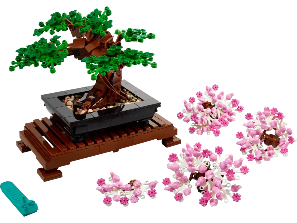 Bonsai Tree